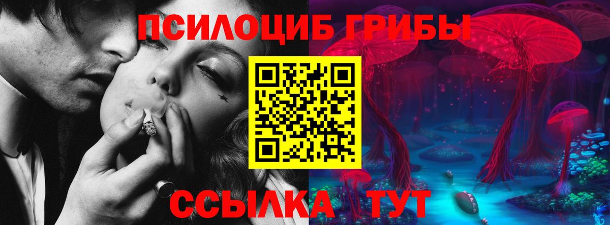 Галлюциногенные грибы GOLDEN TEACHER  Вход с VPN  Магнитогорск 
